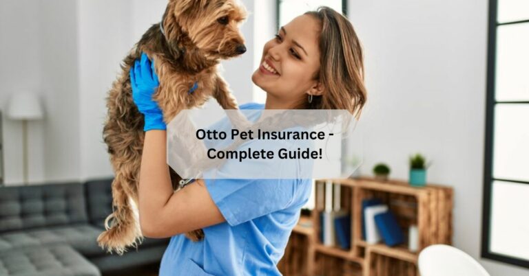 Otto Pet Insurance - Complete Guide!